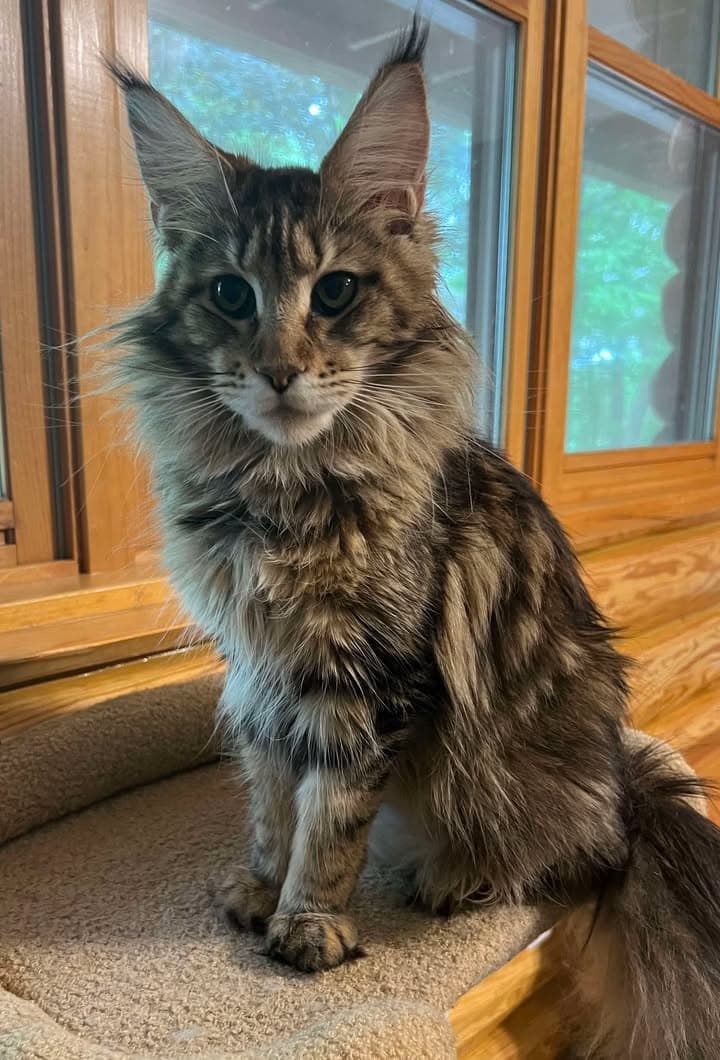 Rosie